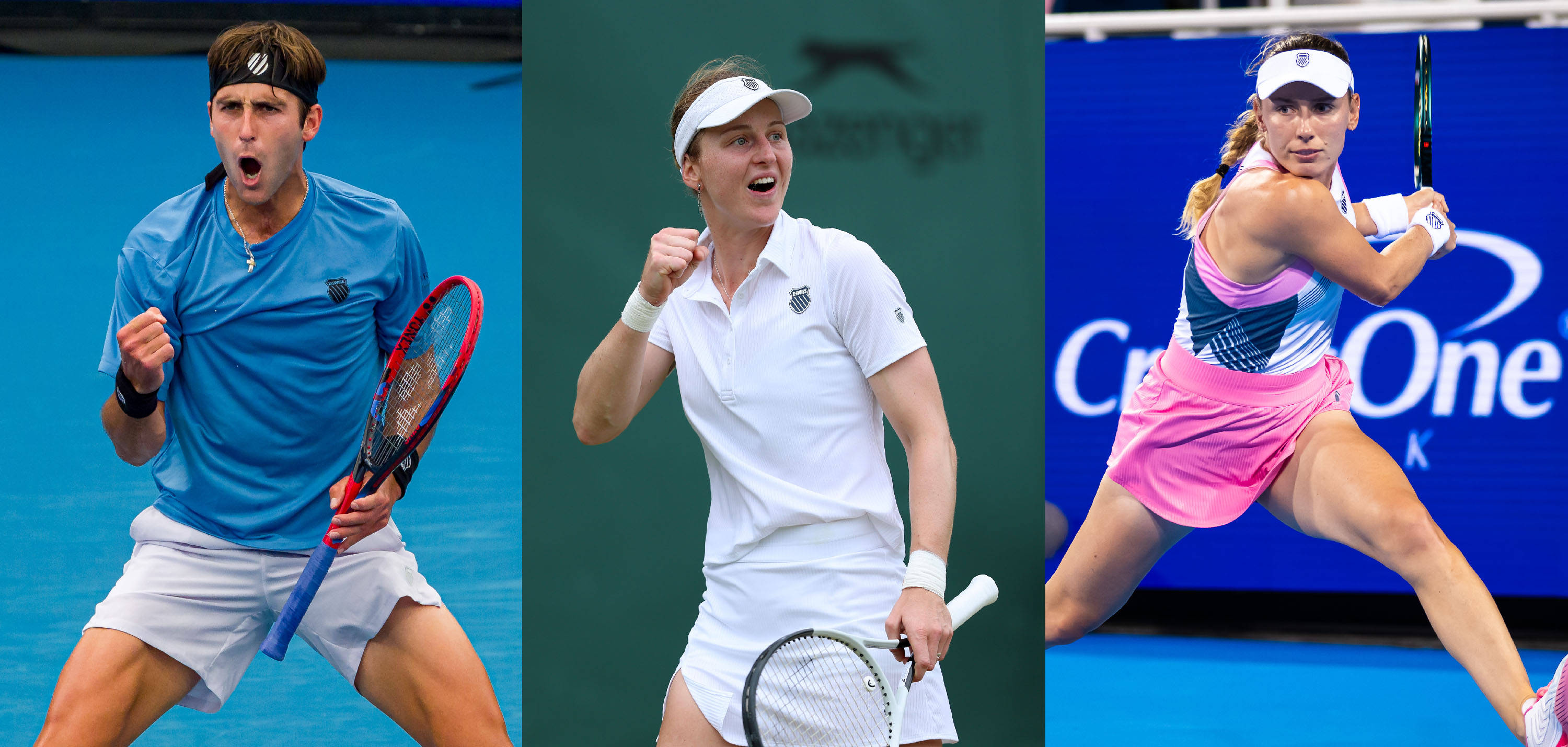 已展现出不 已展现出不