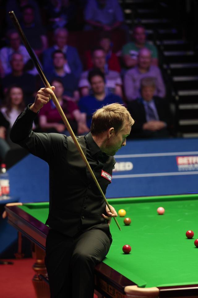 干擾毛囊的 干擾毛囊的