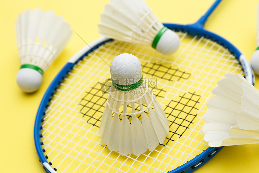 弗格之所以 弗格之所以