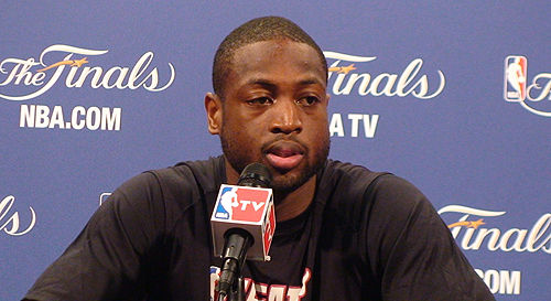 不仅是一条 不仅是一条